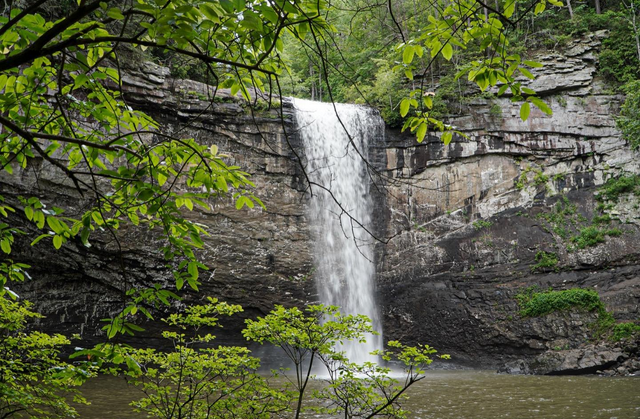 Preview image of 4 Must-Visit Waterfalls on a Trip to Chattanooga